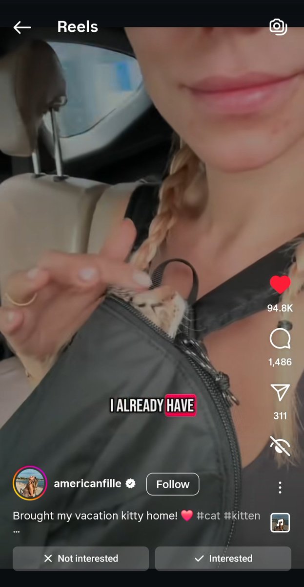 kochengfs's tweet image. Kcg! #.KaburAjaDulu gess 😭 namanya Sari, dia stray cat di sebuah penginapan, terus di sayang2 sama penghuninya yg bule. Skrg Sari udah melepas status wni nya dan menjadi warga kota paris 😔👏https://t.co/TsqkDwdKiU