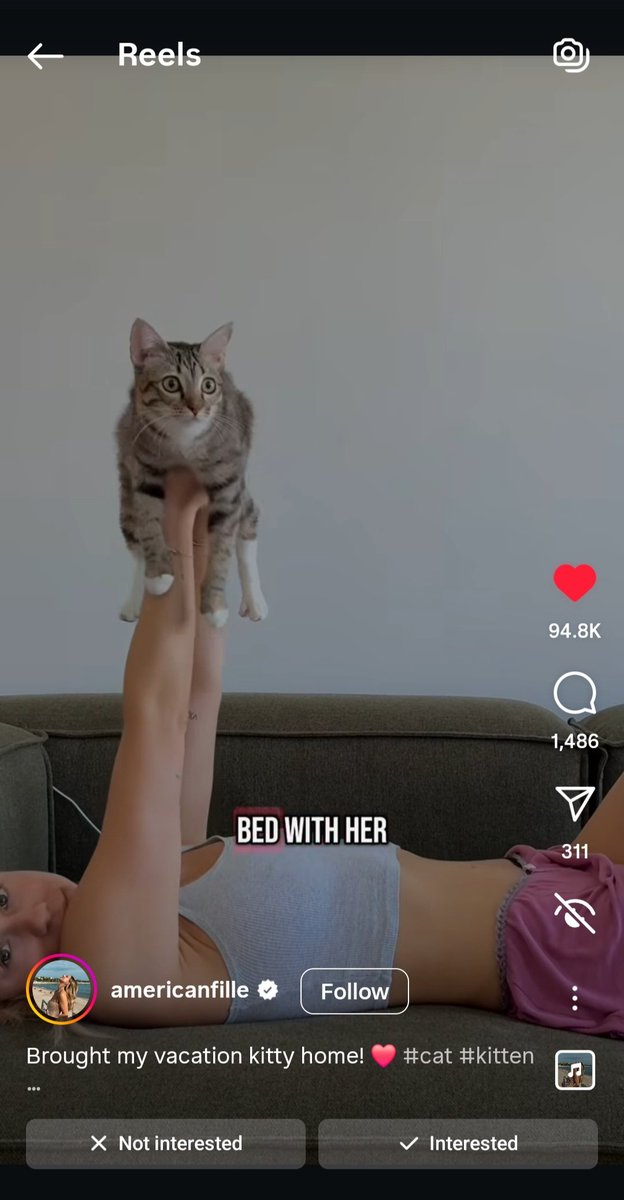 kochengfs's tweet image. Kcg! #.KaburAjaDulu gess 😭 namanya Sari, dia stray cat di sebuah penginapan, terus di sayang2 sama penghuninya yg bule. Skrg Sari udah melepas status wni nya dan menjadi warga kota paris 😔👏https://t.co/TsqkDwdKiU