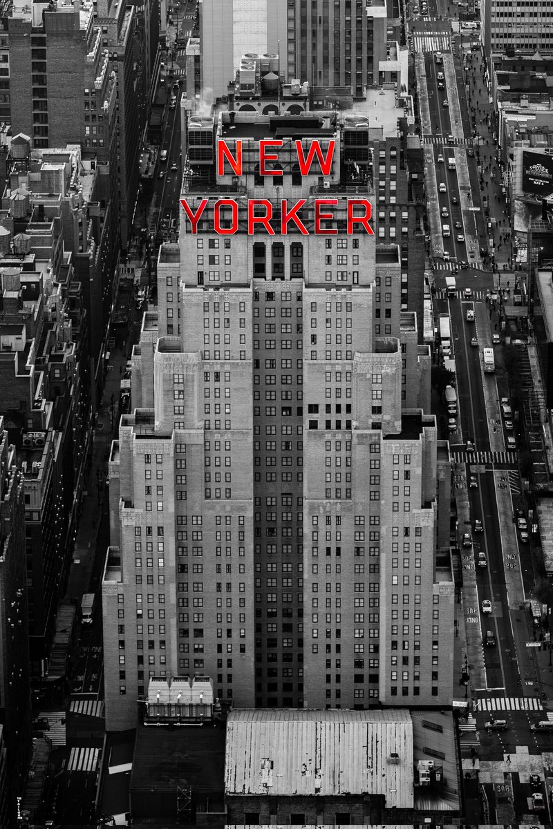 The New Yorker. #newyorker