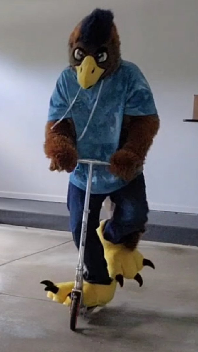 DonderHawk's tweet image. Pullin up 

#FursuitFriday
