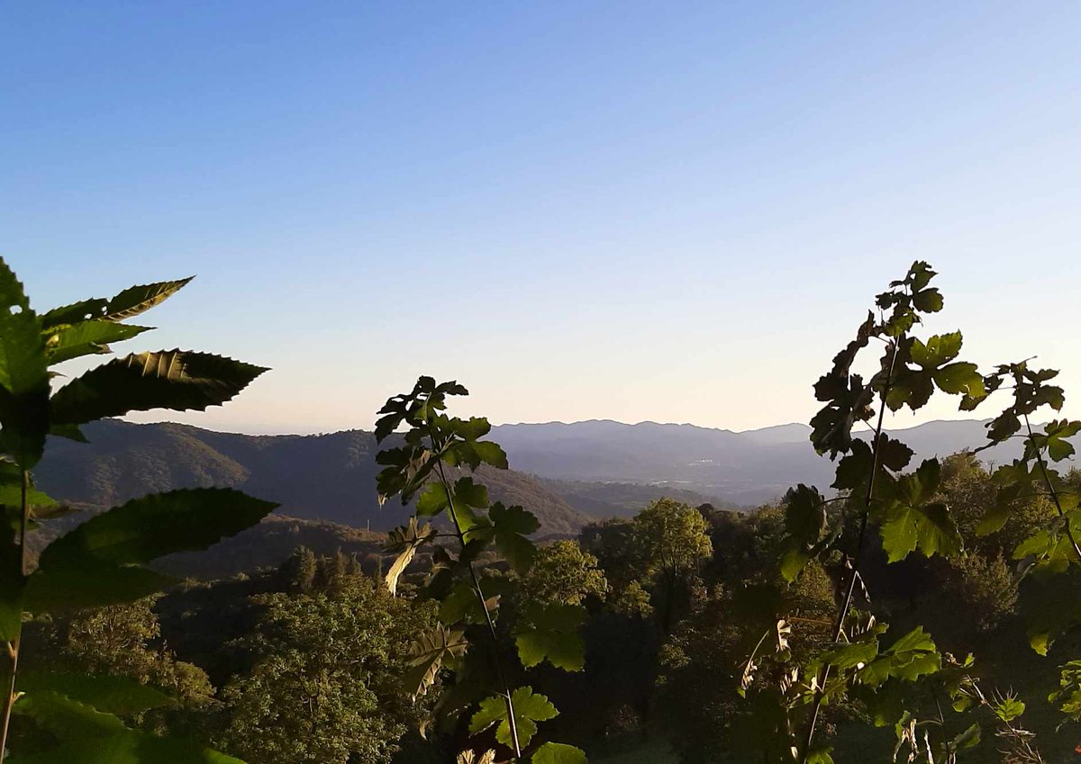 MiraSound (@montecrossa) on Twitter photo #Photo by #Mirakali Landscape around Mirapuri <a href="/yzcyzf/">性格色覚W異常フニクラ@CFS&無呼吸&HSP</a> <a href="/KeiraNightly2/">Keira Nightly</a> <a href="/iliana_uribe/">Iliana Uribe García</a> #photography #photographer #Mirapuri #NaturePhotography #hills #atmosphere #landscapephotography #TwitterNatureCommunity #nature #landscape Mirakali.net #Photo by #Mirakali Landscape around Mirapuri <a href="/yzcyzf/">性格色覚W異常フニクラ@CFS&無呼吸&HSP</a> <a href="/KeiraNightly2/">Keira Nightly</a> <a href="/iliana_uribe/">Iliana Uribe García</a> #photography #photographer #Mirapuri #NaturePhotography #hills #atmosphere #landscapephotography #TwitterNatureCommunity #nature #landscape Mirakali.net