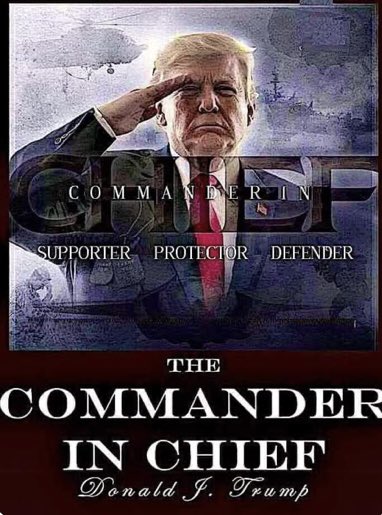 Lynette42040638's tweet photo. @DanScavino 🇺🇸🛡⚔ https://t.co/sKZudbySJF