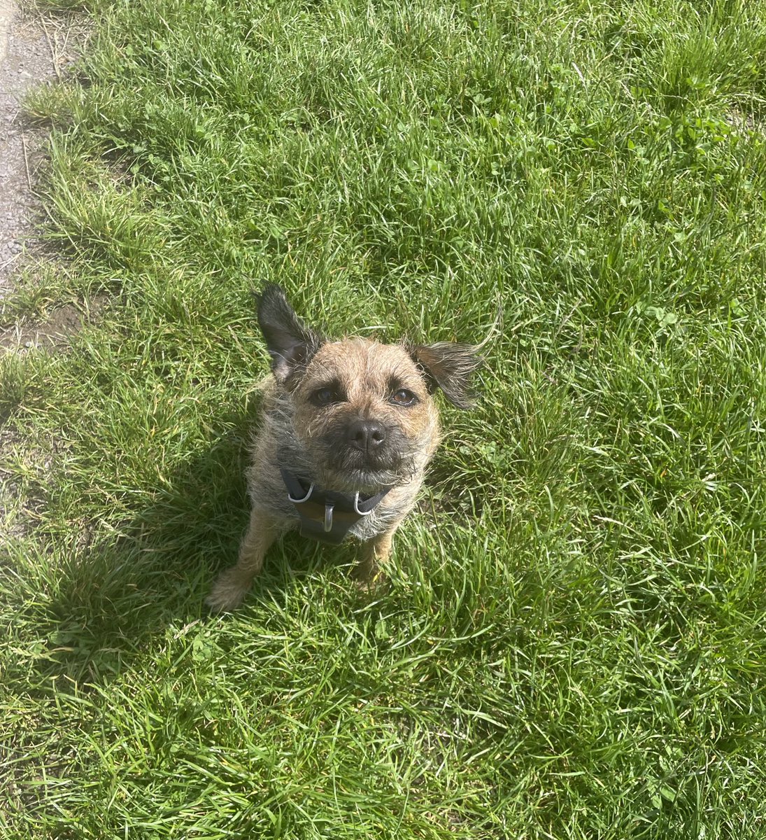 Another excitin holibobs day, met lots of furs and hoos and my earyholes did a lot of flapping in the wind

#BTPosse ❤️☀️
