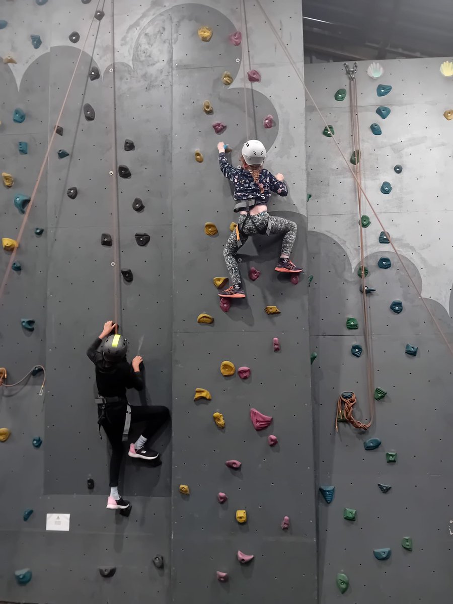 Roundhay Year 4 tweet media