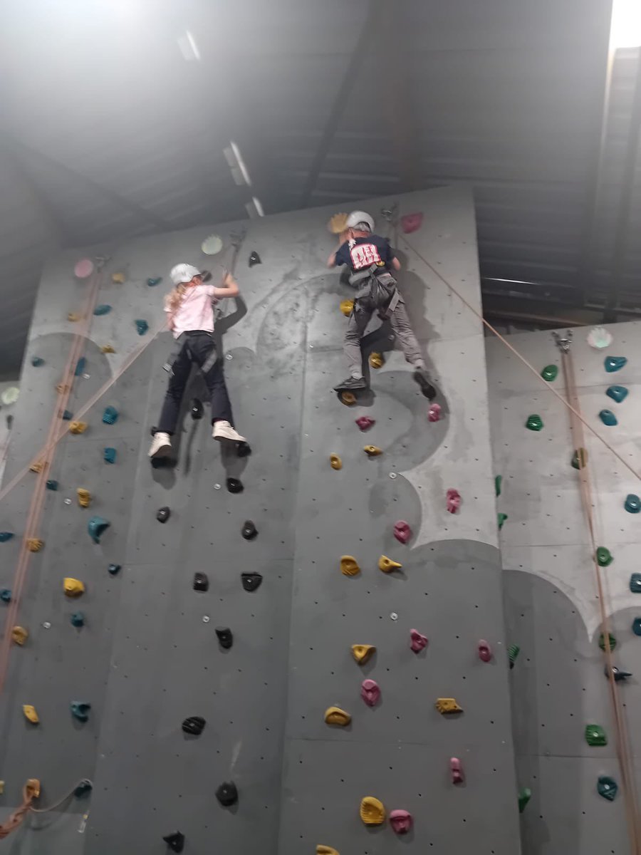 Roundhay Year 4 tweet media