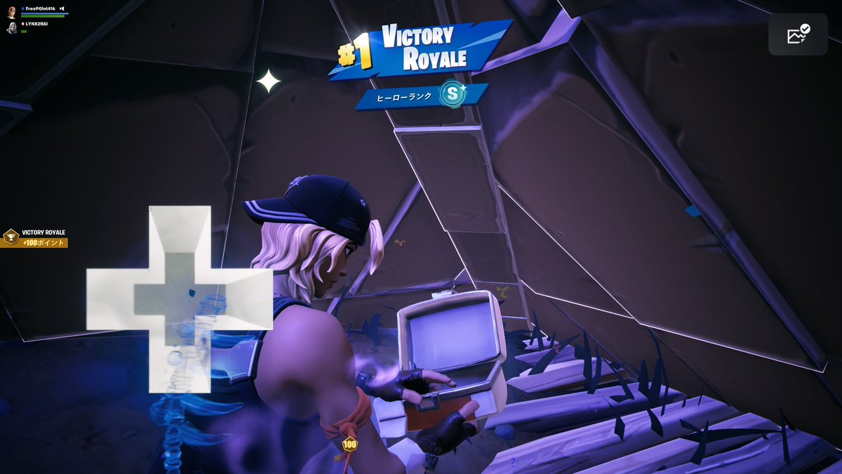 $100 ローグら破壊した