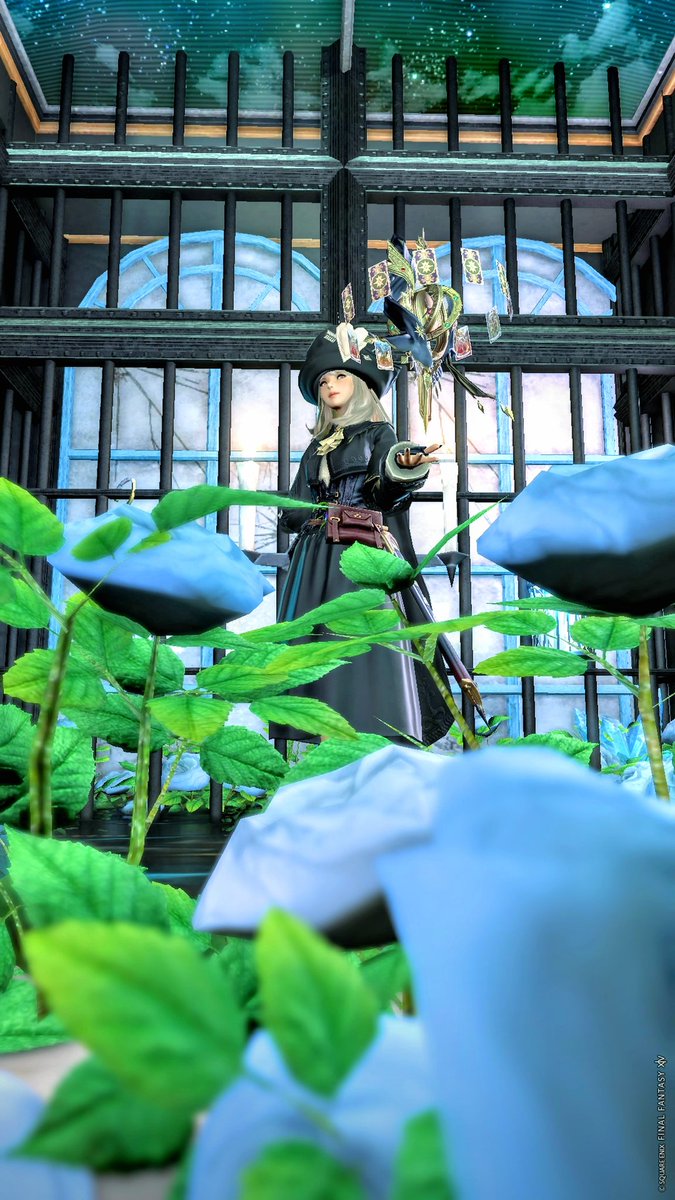 kettoshi7's tweet photo. #FF14  #ミコッテ　　#OtiHouse https://t.co/H6b90ZqY2l