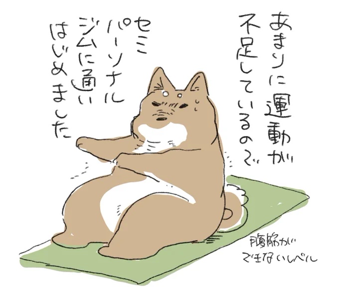 💪 