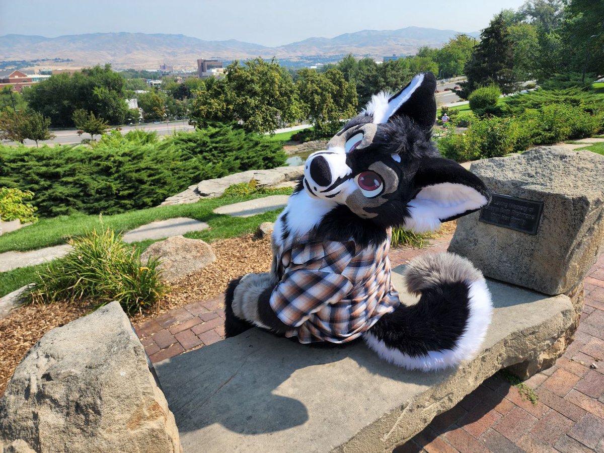 Did I hear AC? Im super excited to see all you floofs in a could of weeks!

#FursuitFriday
