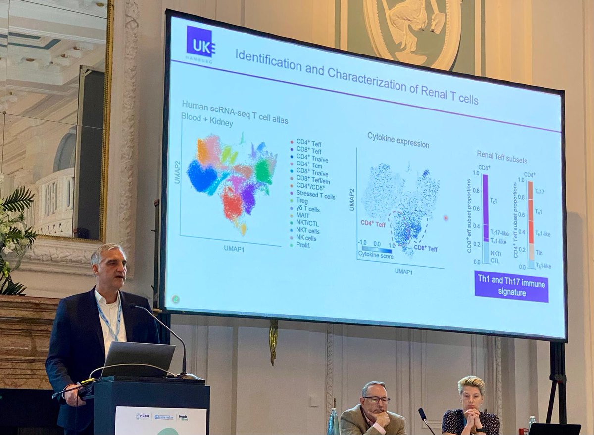 ISGDtweets's tweet image. Brilliant talk by Prof. Ulf Panzer at the #PodocyteConference 🐙 From immune-profiling to precise treatment 🎯 @NatureComms and a new hypothesis involving Granzyme K in ANCA-GN 🌟 @HCKH_Hamburg @PodocyteIPC @Tobias_B_Huber @KSusztak @JochenReiser @rkramann