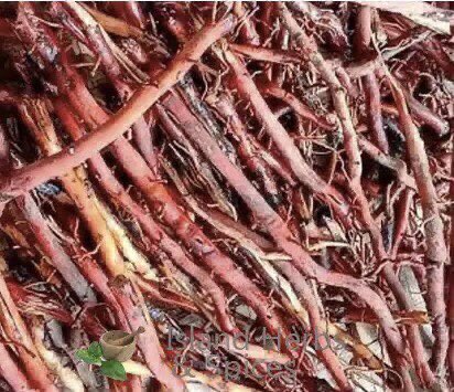 If your typhoid is still resisting the antibiotics, this remedy is yours👇🏻

For your Typhoid fever, boil pineapple peels + Lemon(peels+juice)+ Coconut roots for 20mins and take 100mls three times daily for 3 months🍀