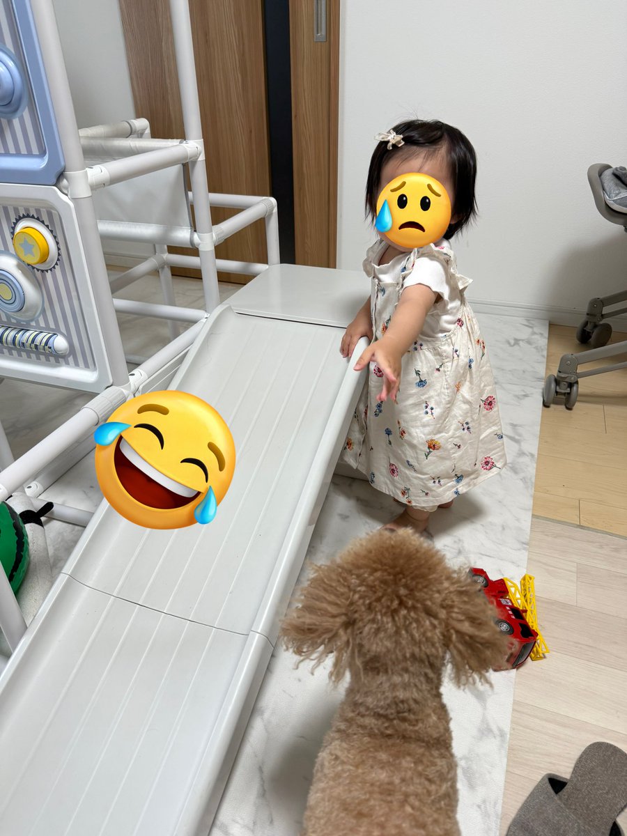 おともだちが2人目産まれたからお祝い持って、お家にお邪魔させてもらった🤭🏠🤍ྀི
珍しいおもちゃに大興奮🤩✨
わたしも楽しかったし、ぷうちゃんもかなり楽しかったみたい😚🤭🤍ྀི