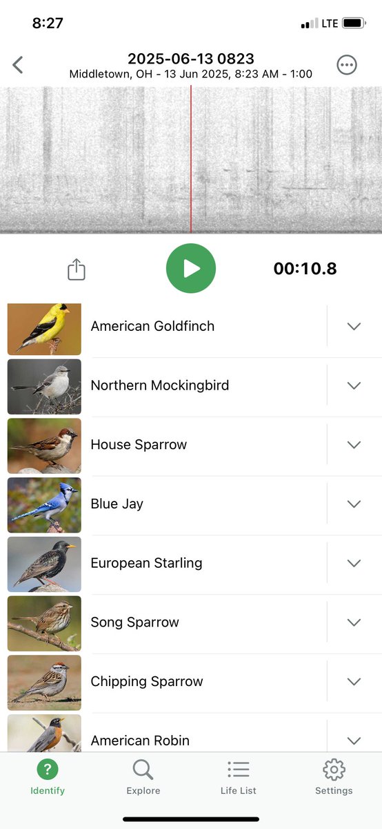 tyeaton5's tweet photo. Perfect morning for bird watching in the neighborhood. Shoutout to the @MerlinBirdID app as always.
Iโve gotten to the point that I can recognize most of the calls in the neighborhood but itโs always fun to see the bird pop up that youโre hearing. ๐ฆ #birdguy #lawnguy https://t.co/qlSBoZGlyL