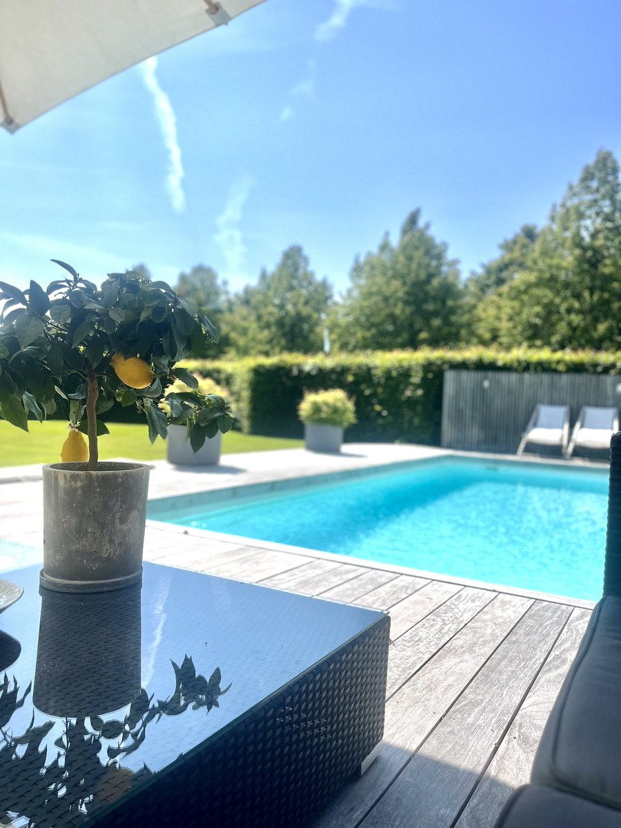 manlinger's tweet image. ☀️