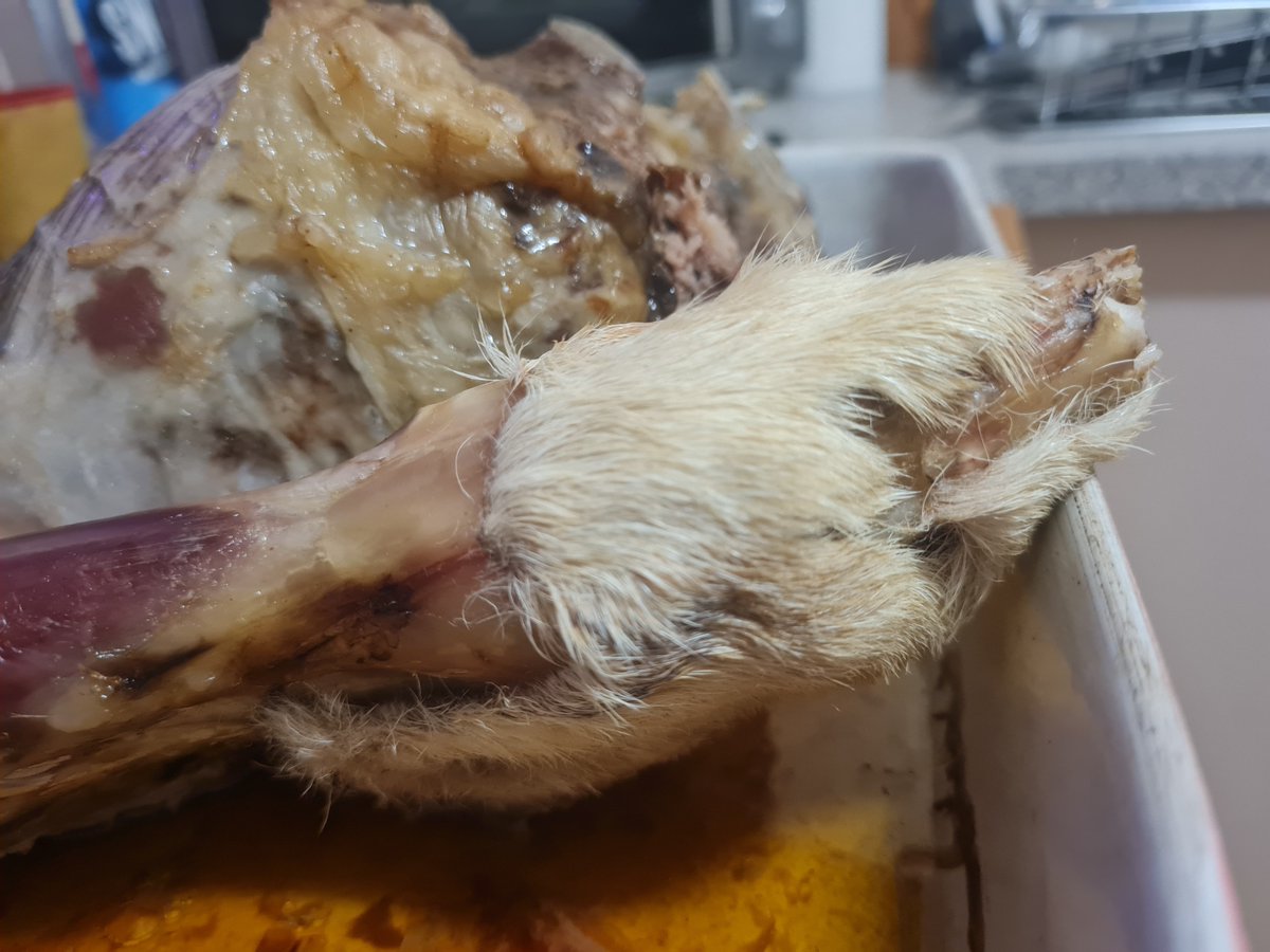 Got a whole sheep, local, killed/dressed by my sister's partner. Took leg from freezer and put in oven, a while later wondering what that smell is...

Yeah, they left the entire hoof on - fur and all.