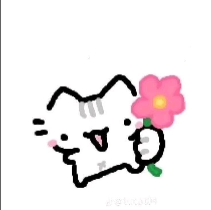 rcsebob🪷🐰 tweet media