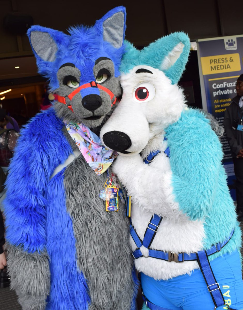 Oreo Otter (@oreootter) on Twitter photo Wuskys are VERY good at Hugging!! ๐๐
( it must be the husky in them. )
#FursuitFriday #confuzzled
๐ถ- <a href="/SiddTheWusky/">SiddTheWusky</a>
๐ธ - Dominik bunny Wuskys are VERY good at Hugging!! ๐๐
( it must be the husky in them. )
#FursuitFriday #confuzzled
๐ถ- <a href="/SiddTheWusky/">SiddTheWusky</a>
๐ธ - Dominik bunny