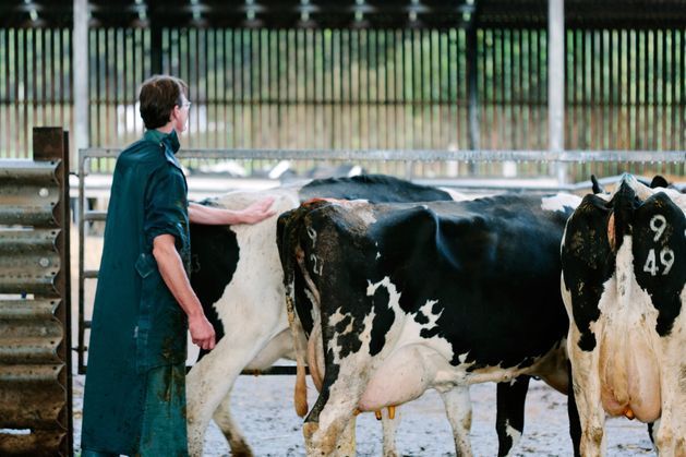 Farming Independent (@farming_indo) on Twitter photo Call for lay TB testers to help reduce vet workload independent.ie/farming/news/c… Call for lay TB testers to help reduce vet workload independent.ie/farming/news/c…