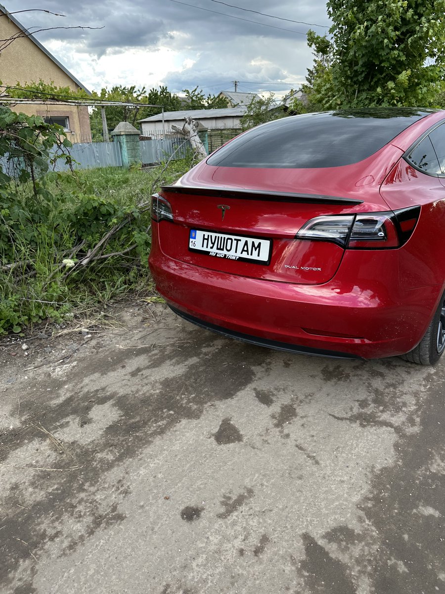 Ruslan Samovarov tweet media