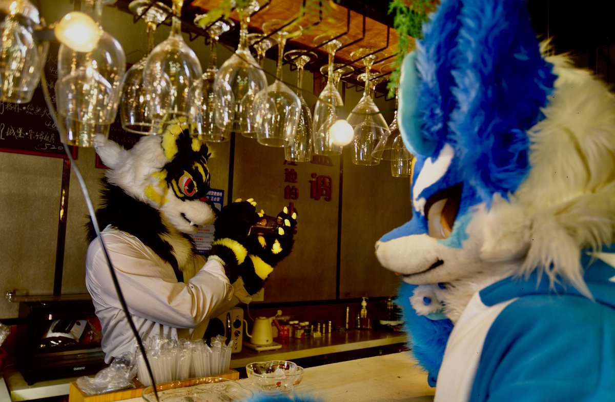 ADr_Meng's tweet photo. #Fridayfurry 

黑金小老虎调酒师在线上班🍹

“先生有什么需要吗？”
“给我来杯长岛冰茶！”

右@zhnduymenyo1 

摄影浮梦and耀叶 https://t.co/vokWOcLAFH