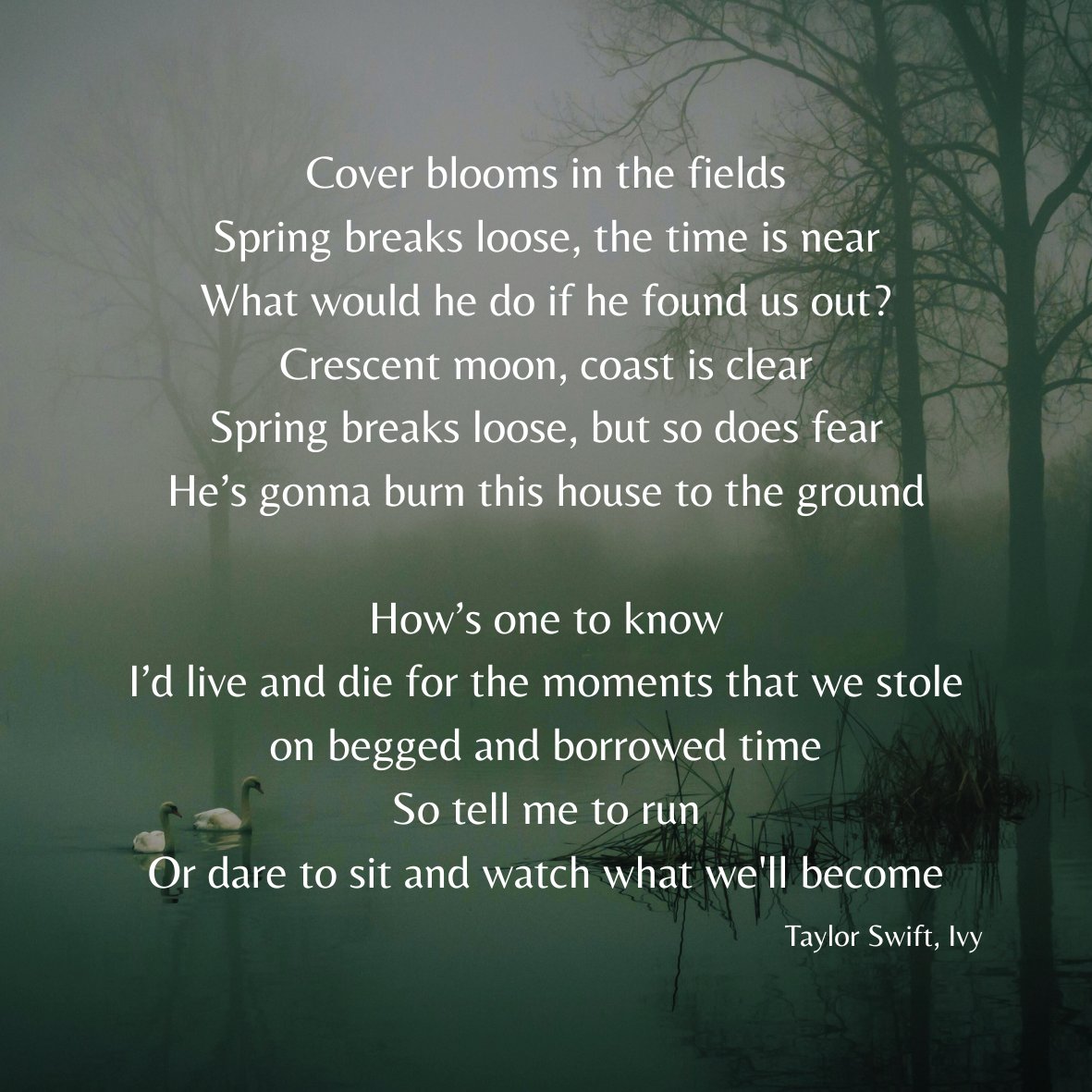 A HISTORY OF WILD PLACES x Midnight Mass  
How was Ivy to know 
She'd meet him where the spirit meets the bones 
in a faith forgotten land? 

In from the snow
his touch brought forth an incandescent glow 
tarnished but so grand  

#SwiftiePitch #A #T