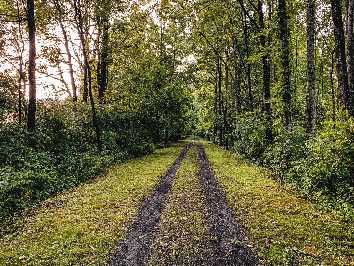 The trails are calling... you should GO!

Explore one of the many trails in #swva on your next walk, run, or bike ride!

Find yours at visitswva.org/play

🥾 Salt Trail
📍 Glade Spring, VA