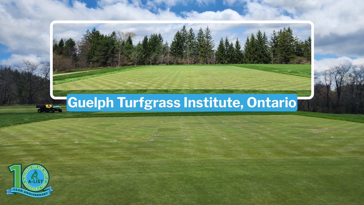 The A-LIST (@alistturf) on Twitter photo The search for the next generation of sustainable turfgrass continues! This time in Canada, as <a href="/DicksonTurf/">Kyley Dickson</a> recently visited the <a href="/GuelphTurf/">Guelph Turfgrass Institute</a> to evaluate promising new varieties.
Our goal: to identify grasses that minimize environmental impact AND deliver top-tier performance. The search for the next generation of sustainable turfgrass continues! This time in Canada, as <a href="/DicksonTurf/">Kyley Dickson</a> recently visited the <a href="/GuelphTurf/">Guelph Turfgrass Institute</a> to evaluate promising new varieties.
Our goal: to identify grasses that minimize environmental impact AND deliver top-tier performance.