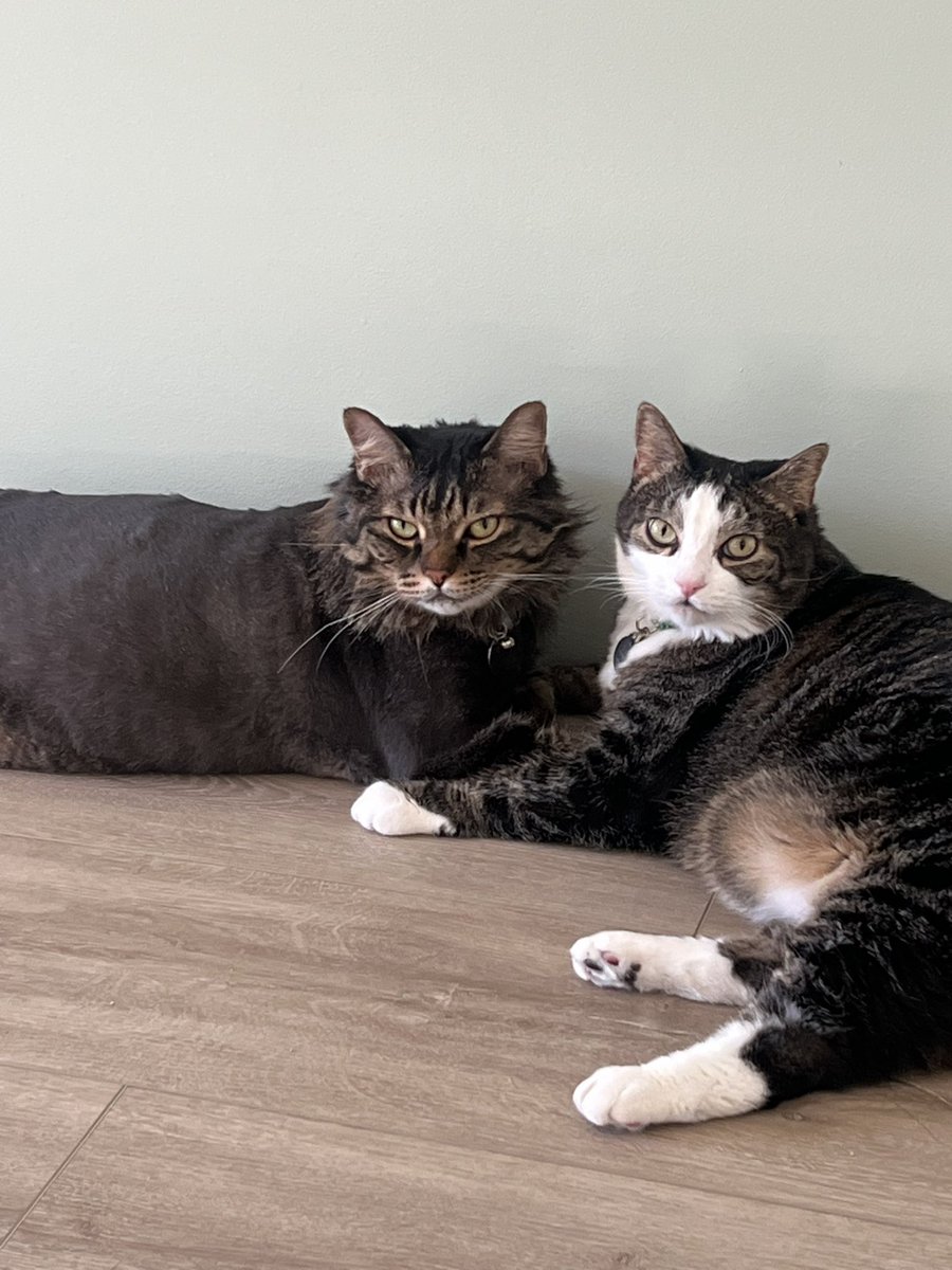 Amy Bonaduce tweet media