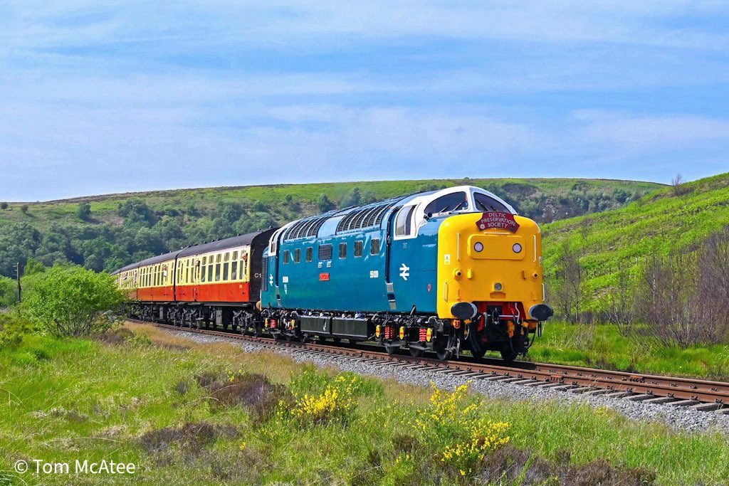 55009 'Alycidon' climbs up towards Goathland Summit 532ft above Sea Level with the 10.00 Pickering to Grosmont service through Fen Bog, Ellerbeck. 12th June 2025. 📸 ☀️

⭐️ Gift Store ⬇️🏞️🚂 
railwayartprintshop.etsy.com

#deltics #deltic #britishrail #railways