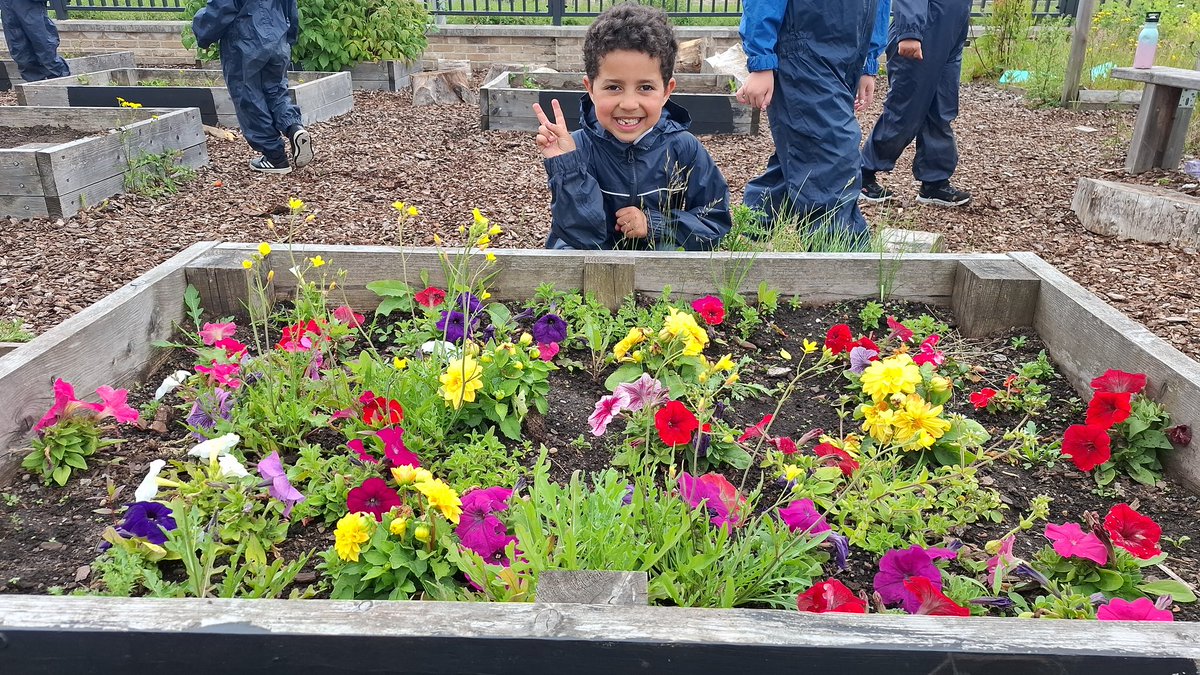 _Mrs_Brooke's tweet photo. 2nd last Fresh Air Friday for P1a @RiverbankPri today 🍓 🌿 To see these little people's interests in planting and caring for our garden grow over the year, has been a joy! They've helped Mrs Brooke hugely in preparing our garden for sustainability for next year too! 🌟 ♻️ https://t.co/PeJsR81OwN