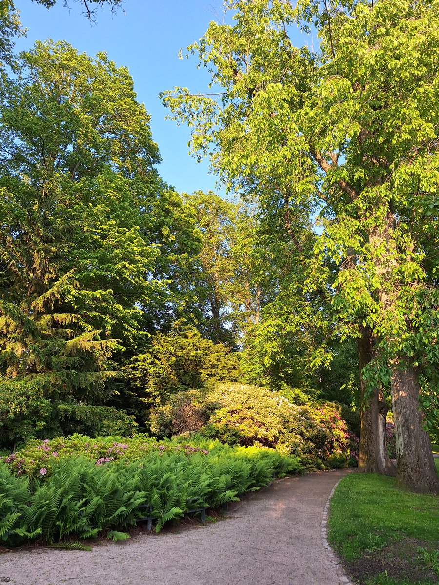 jaanakorppi's tweet image. En ole koskaan tajunnut miksi ihmiset menevät hytisemään Kaivopuistoon vappuna, mutta sitten unohtavat kuinka ihana ja romanttinen paikka se näin ennen mittumaaria on.  #menovinkki