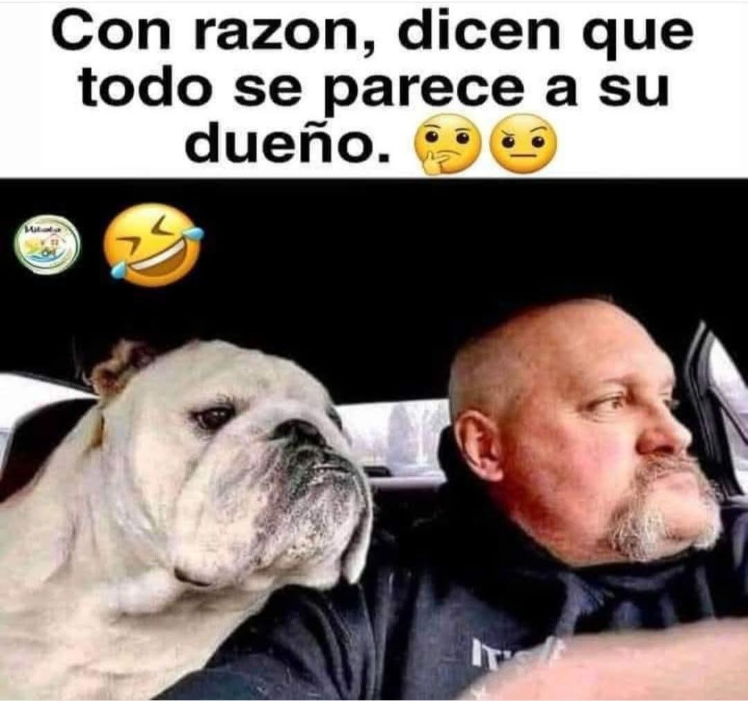🤣🤣🤣🤣🤣🤣🤣🤣