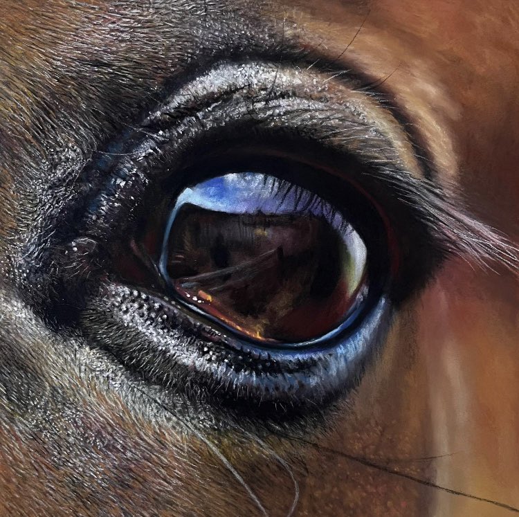 Lots of of dog portraits to get through at the minute very little time for anything else so a throwback to this horse eye, pastel pencil and soft pastel on pastelmat. Have a great weekend everyone 🙂. #art #artdrawing #drawingart #horse #horseeye #drawdrawdraw #drawingpencil