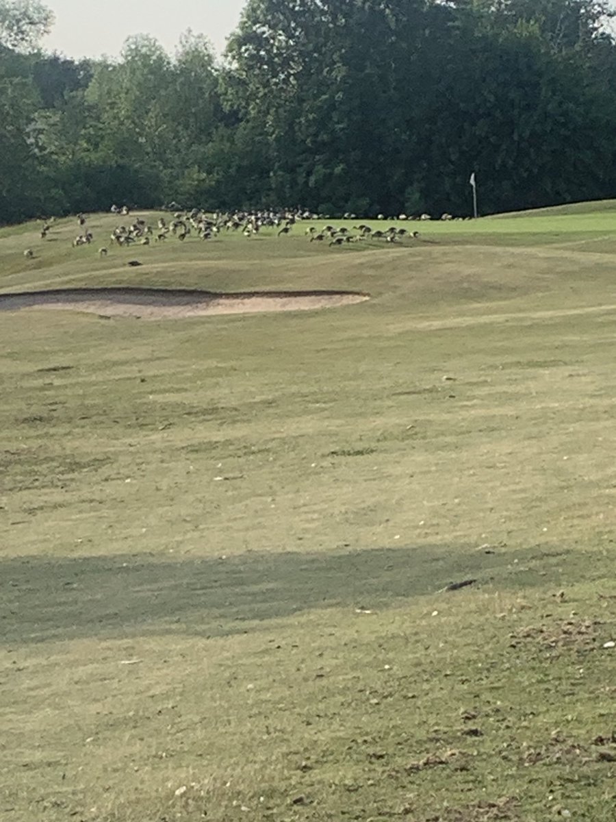Play on ⁦<a href="/Watertonparkgc/">Waterton Park GC</a>⁩
