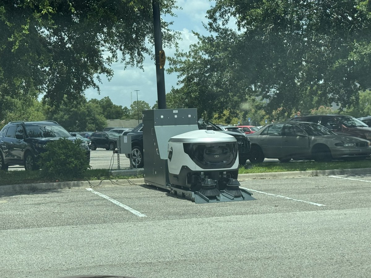 Parking lot roomba