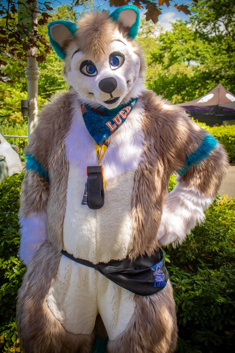 π Lucky πΊ (@lucky_fuzz_butt) on Twitter photo Happy #FursuitFriday ππ
Going to see wolves this weekend! πΊ
(πΈ <a href="/Willsy107/">Will Yeen π³οΈβπ</a> / <a href="/WolfBearz/">οΈGupperz</a>) Happy #FursuitFriday ππ
Going to see wolves this weekend! πΊ
(πΈ <a href="/Willsy107/">Will Yeen π³οΈβπ</a> / <a href="/WolfBearz/">οΈGupperz</a>)