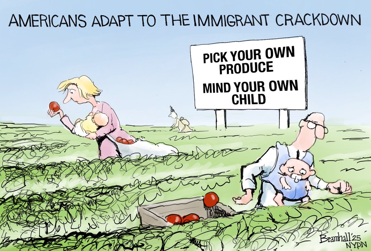 Cartoon