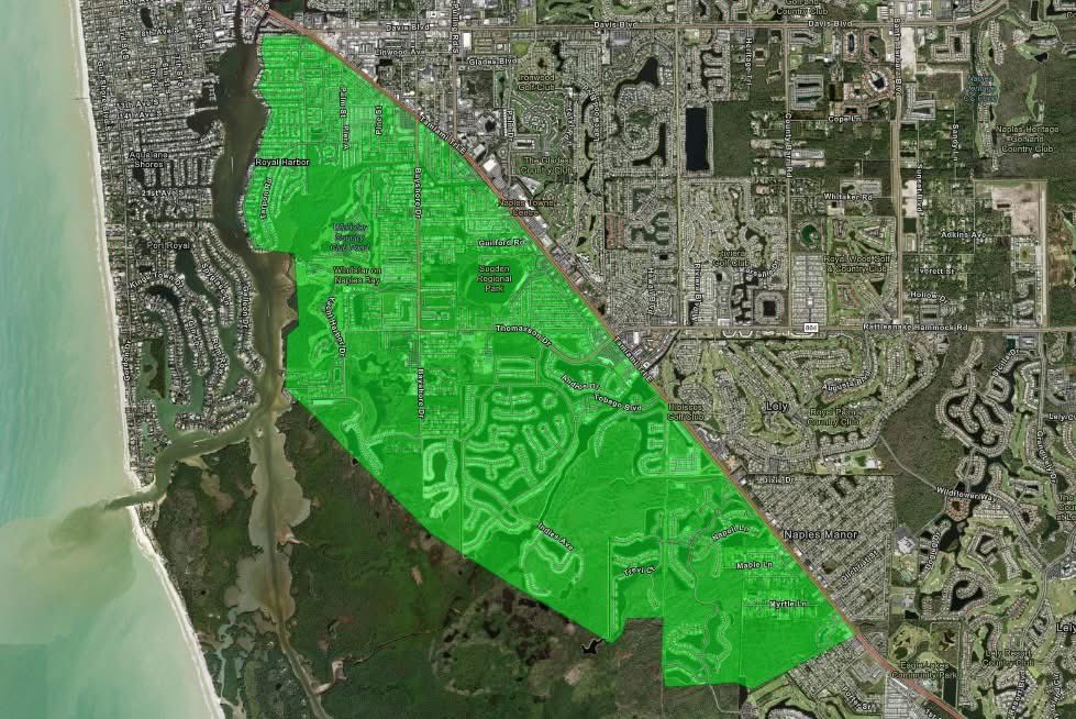 Collier Mosquito tweet media