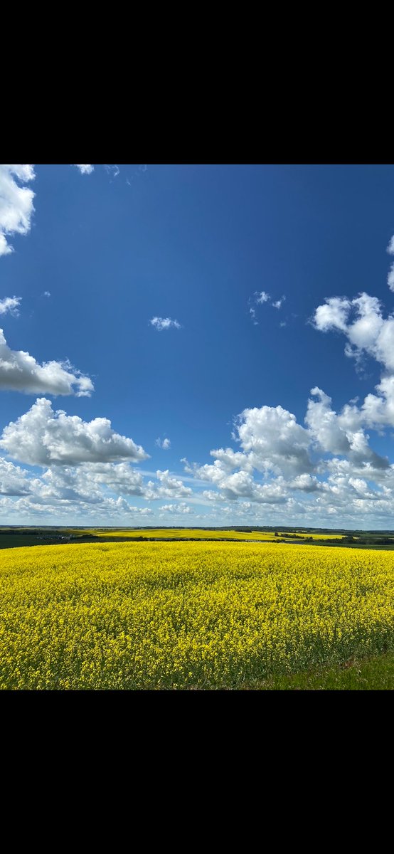 Happy Farmers’ Day to all farmers who work so hard to grow food for so many. It is by your dedication and passion that we have food on our plates. Thank you. #CdnAg #farmers