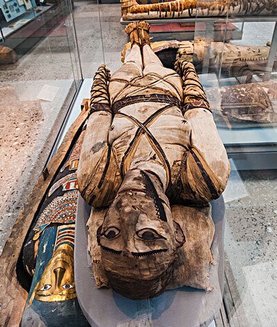 The vegetables in my fridge as I once again open UberEats