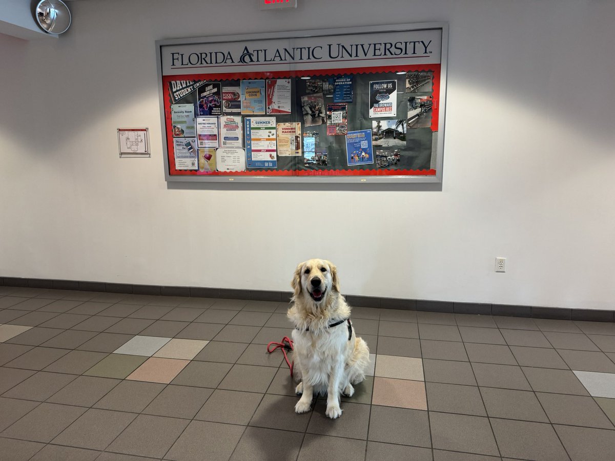 Today we joined our friends at the FAU Davie campus for a youth summer camp program. Had a great time and made some new friends. #therapydog #firstresponderspack #bsofr #bfrs_dogs #fau #browardcounty #southflorida #giveback #makeadifference