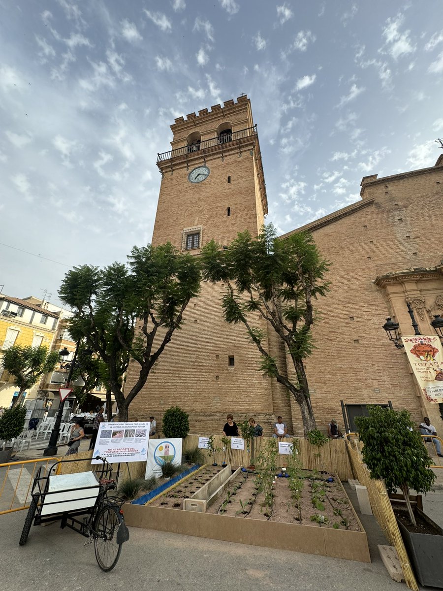 crtotana's tweet image. Trasladamos la huerta al centro de Totana con motivo de la fiesta de las tradiciones y el folclore, organizada por la Peña de la Mantellina.

El Trasvase Tajo-Segura ha sido siempre un pilar fundamental en nuestro municipio. 

#Totana #Agricultura #Ganaderia #TrasvaseTajoSegura