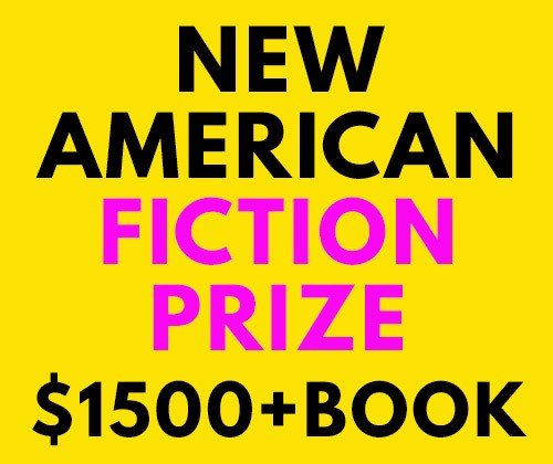 New American Press @newamerpress has extended the deadline to enter its New American Fiction Prize to July 15! Final judge: Clancy Martin. Winner receives $1.5k, publication, copies, &amp; promotional support. $25 fee.
newpages.com/guide-submissi…

#writingcontest