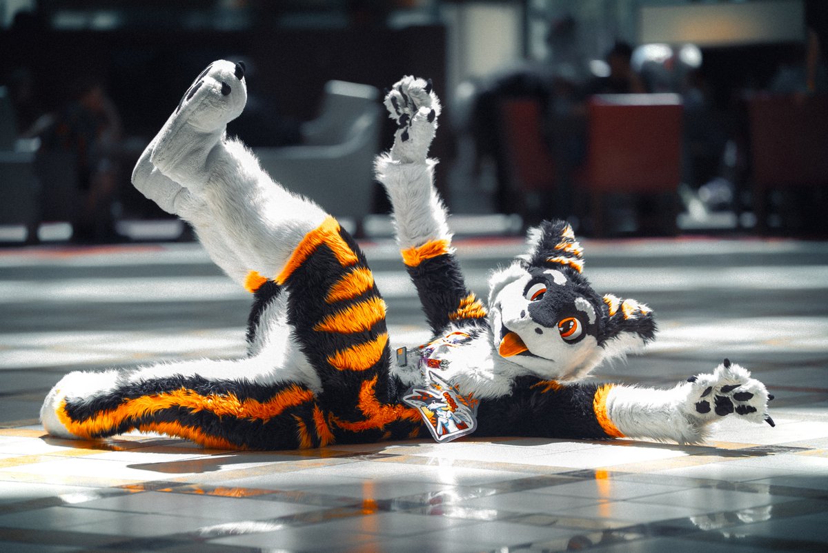 SilySox's tweet image. Ever just wanna flop on da floor?? :>
#FursuitFriday #furry #fursuit
📷@ArcticFoxHiro