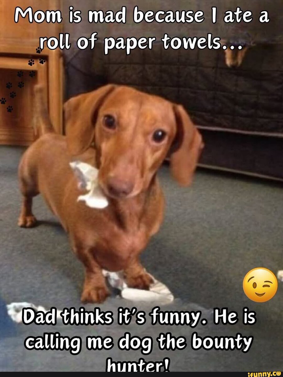 😂😂😂
