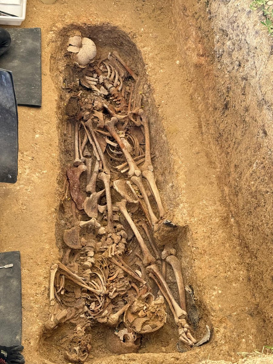 USTEA ha acudido al Cementerio de la Soledad para el homenaje a las víctimas de las fosas comunes organizado por la Plataforma de Víctimas del Franquismo en Huelva. Hay restos de unas 1400 personas, se han recuperado 39, queda mucho trabajo por hacer. ¡JUSTICIA Y REPARACIÓN!