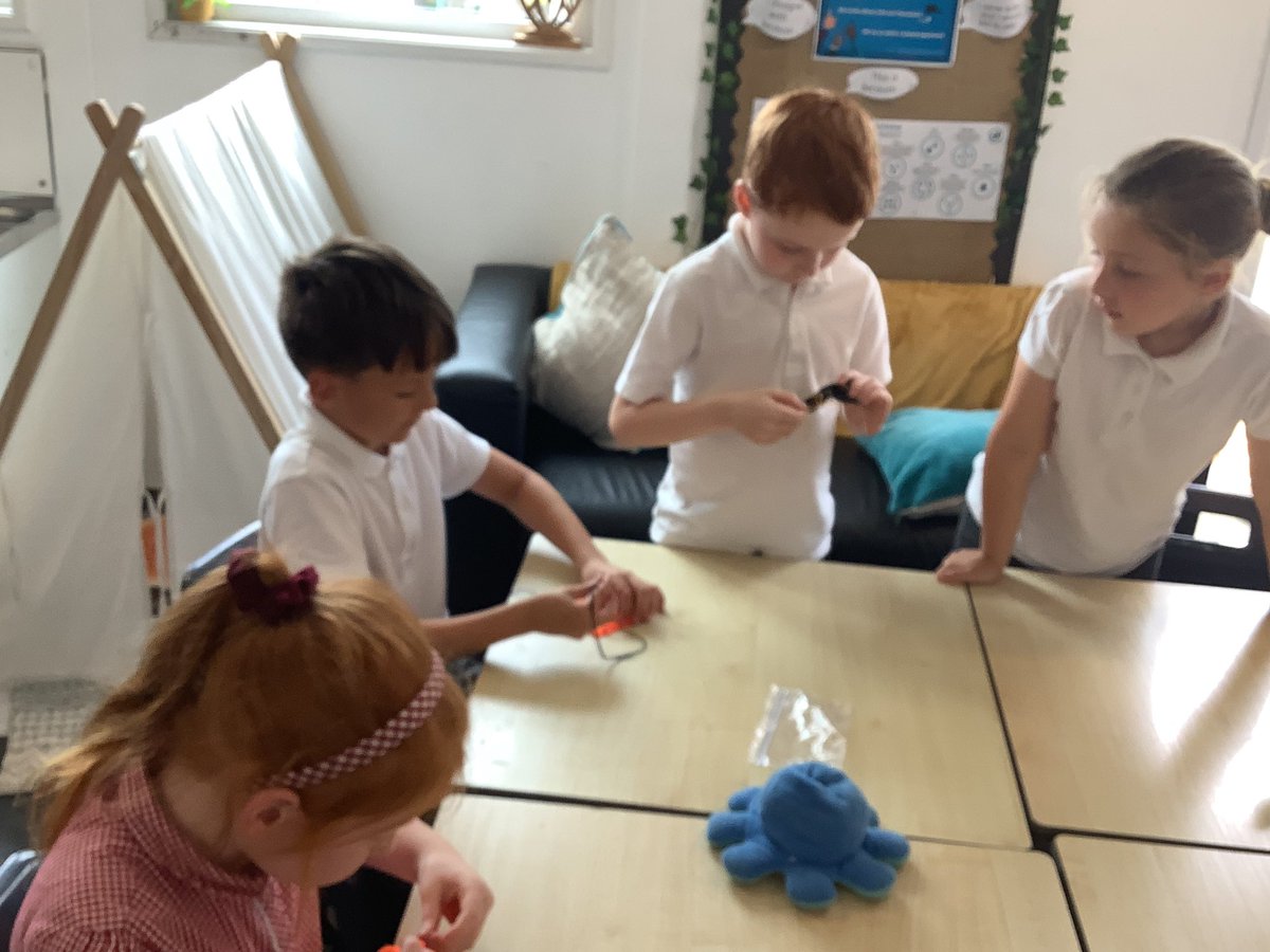 Fern Hunt tweet media