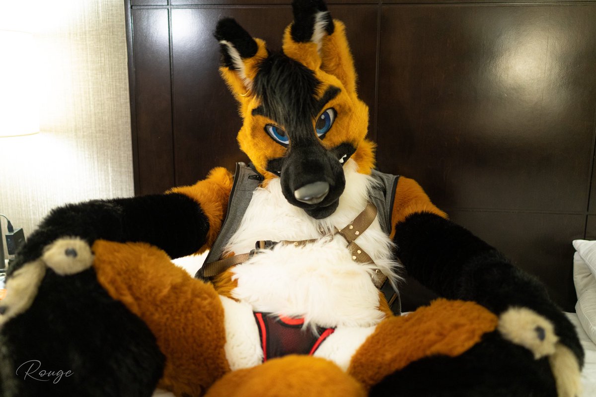 What’s up?! There are room beside me! Pic: <a href="/RougeWuff/">Rouge🔜FWA</a> ! <a href="/MadeFurYou/">Made Fur You</a>