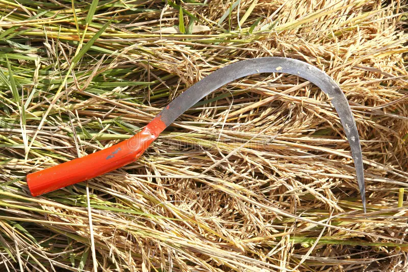 JoanC Otger57 tweet media