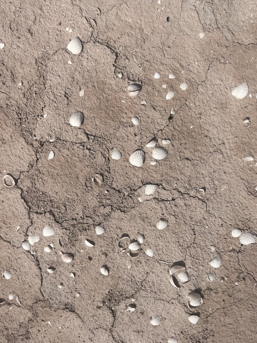 A very hot day crossing the Aralkum, the world’s newest desert, which has formed in the former seabed of the Aral Sea. #OxusExpedition